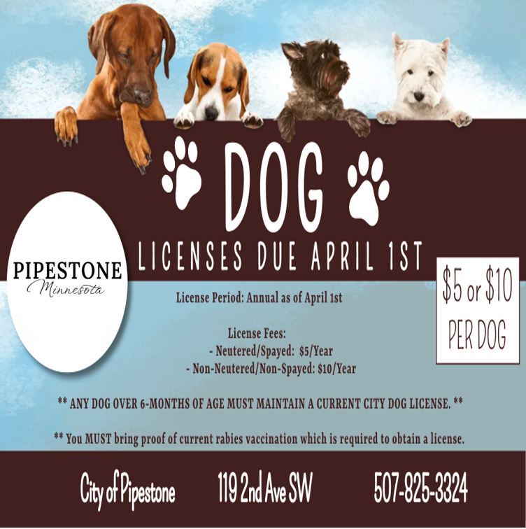Dog License