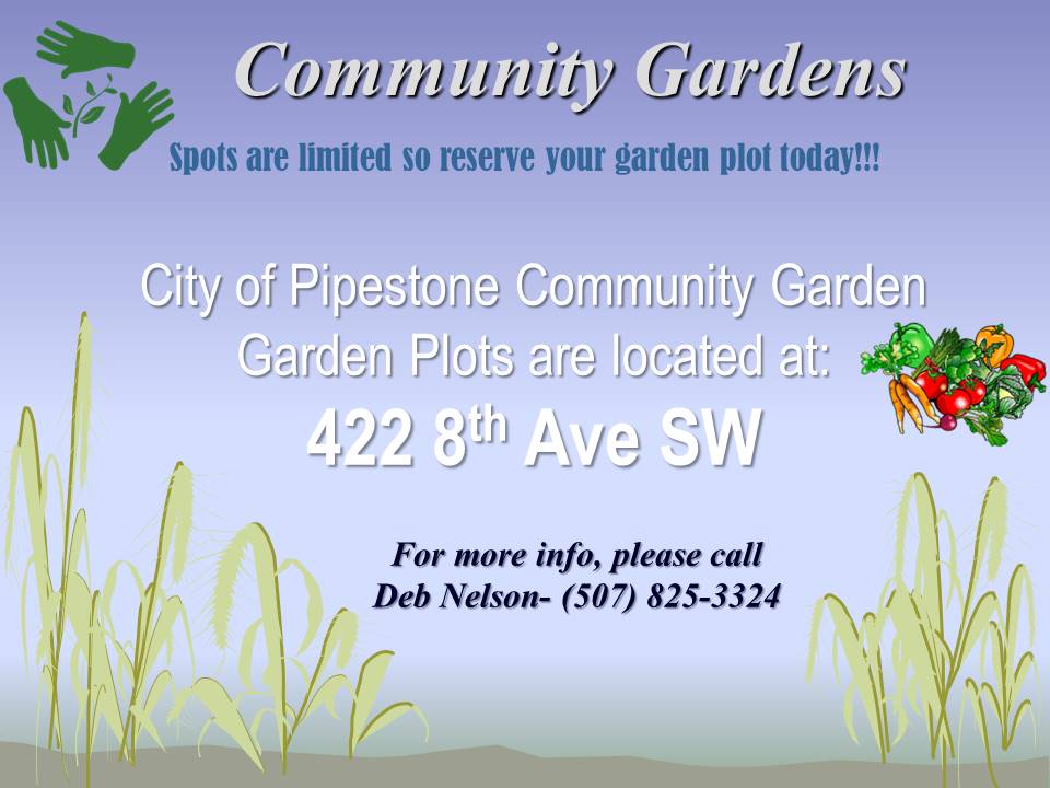 Community Gardens Flyer