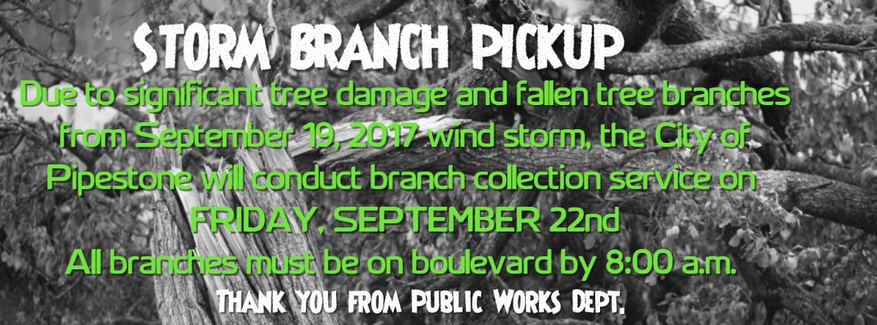 Storm Branch Pick Up 9.22.17