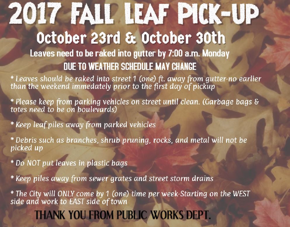 2017 Fall Leaf Pick Up