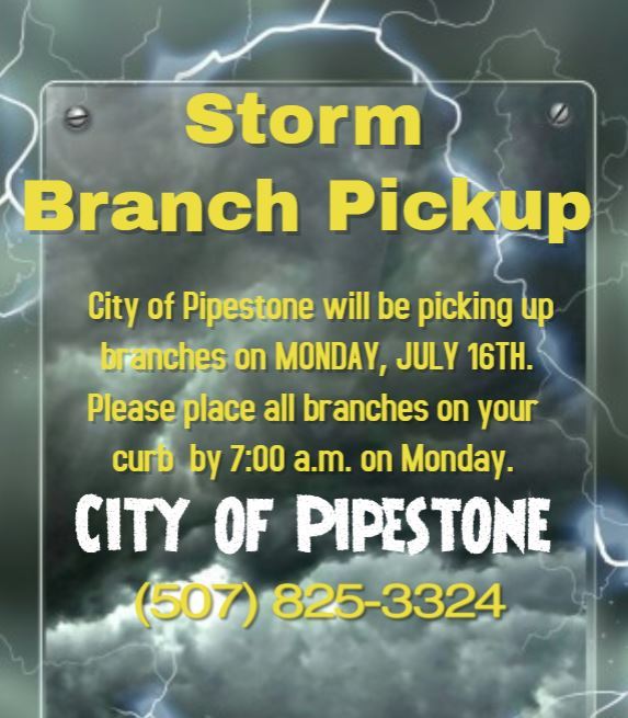 Storm Branch Pick Up 7.16.18